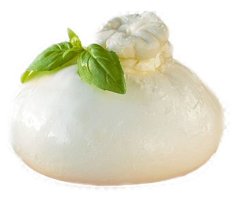 Burrata Italian Cheese 8.82 oz - 250 gr