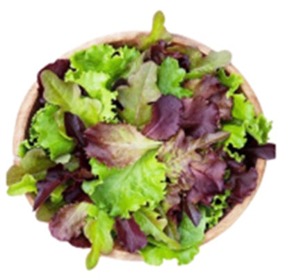 Gourmet Mixed Salad - Curly Endive, Lamb's Lettuce (Mâche), Red Chicory 320gr Bag