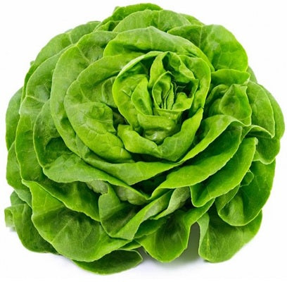 Lettuce Salad - 280 gr