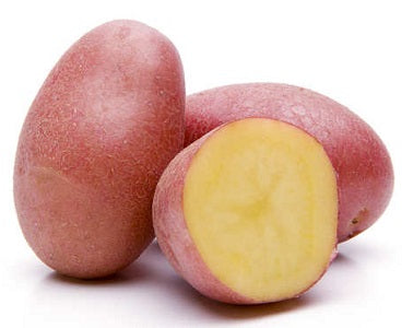 Cheyenne Red-Skinned Potatoes Organic