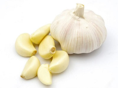 Garlic 3 Pack Organic