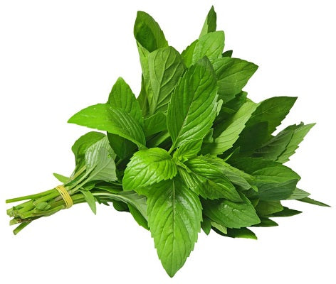 Fresh Mint Bunch Organic