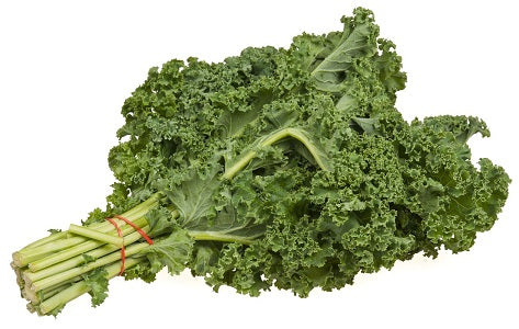 Organic Fresh Green Kale Bunch