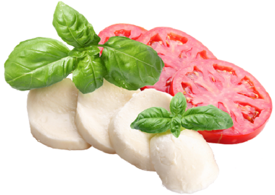 Mozzarella Italian Cheese