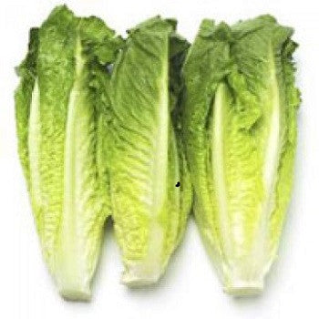 Organic Romaine Hearts Lettuce