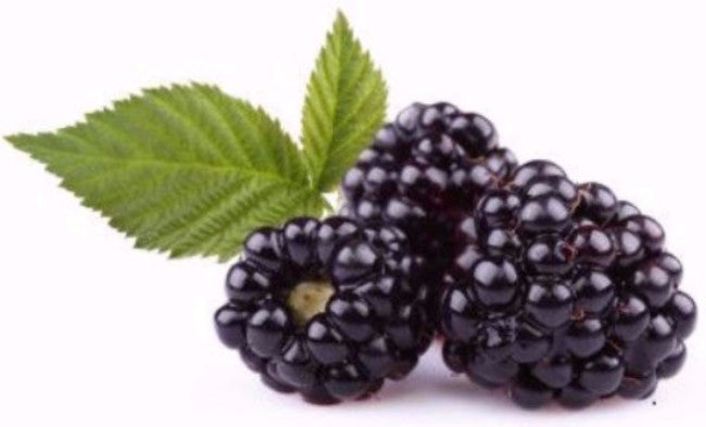Organic Fresh Blackberries Fruit